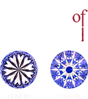 Halo of Success